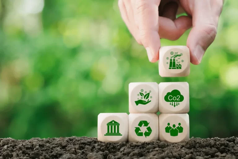 renewable energy certificate vs. carbon offsets | Asiarecs
